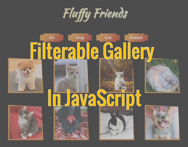 Filterable Gallery with JavaScript